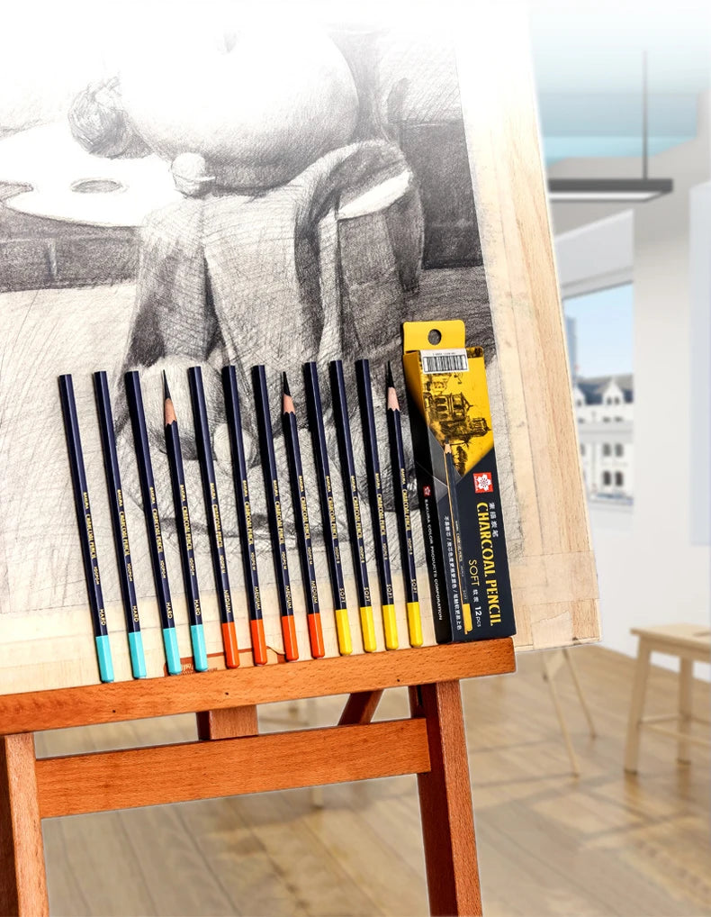 SAKURA Charcoal Pencils Drawing Set -12 Pieces Soft Medium Hard