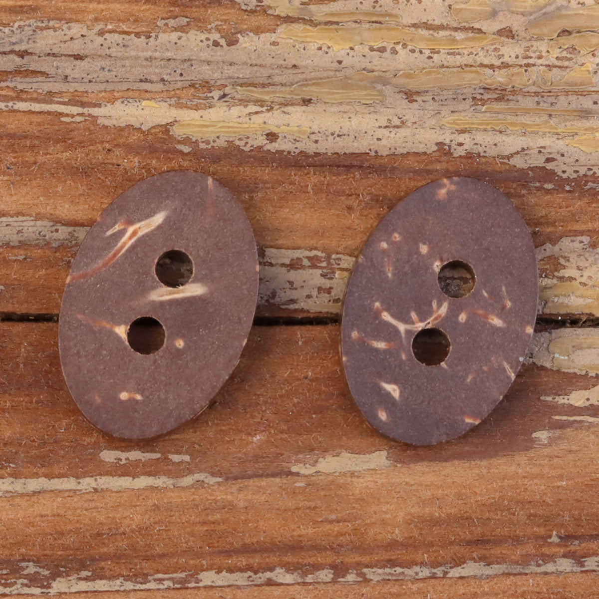 24L Oval Natural Coconut Shell Two-Hole Buttons for Kids' Clothing 20pcs