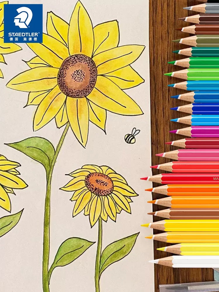 STAEDTLER 144 Noris Aquarell Aquarellstifte, 36 Farben