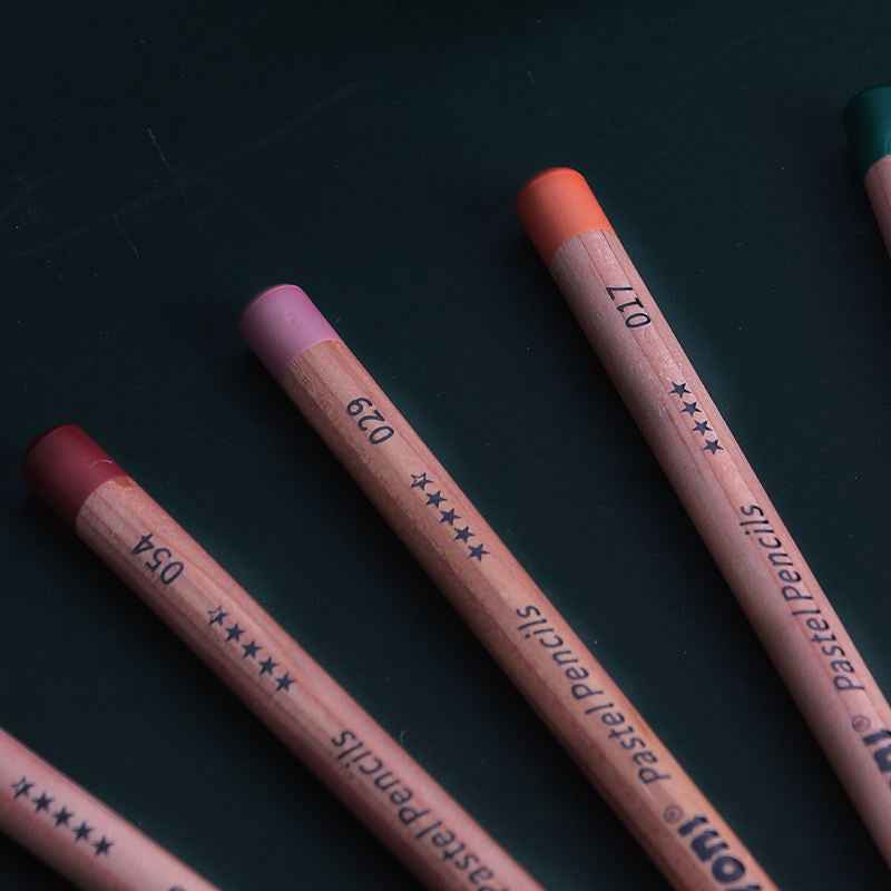 NYONI Professional 24 lápices de carbón de colores tiza pastel