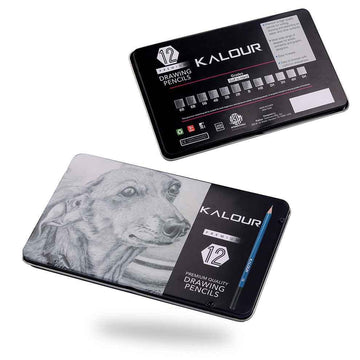 KALOUR 12 pièces dessin professionnel croquis ensemble de crayons graphite