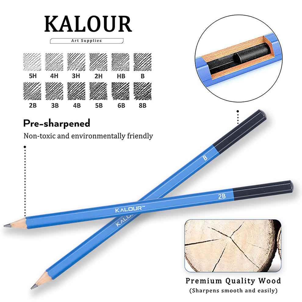 KALOUR 12 pièces dessin professionnel croquis ensemble de crayons graphite