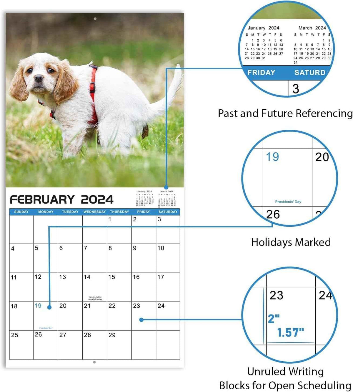 2026 Wall Calendar Crapping Dogs